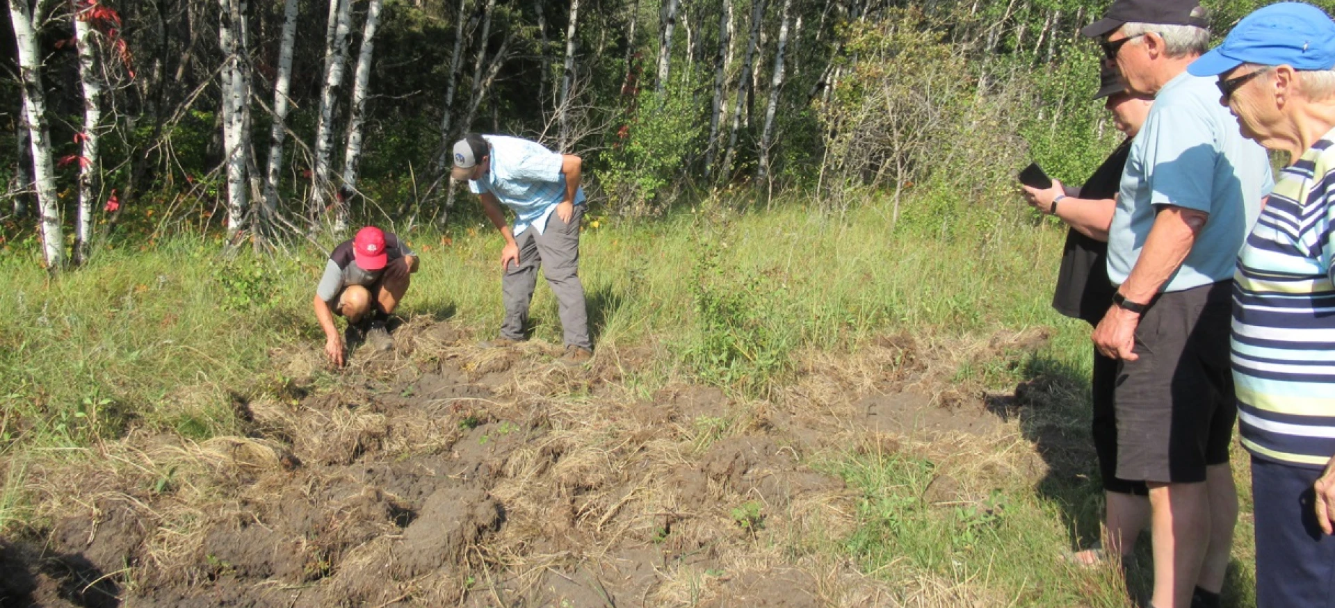 Invasive wild pig rooting presentation
