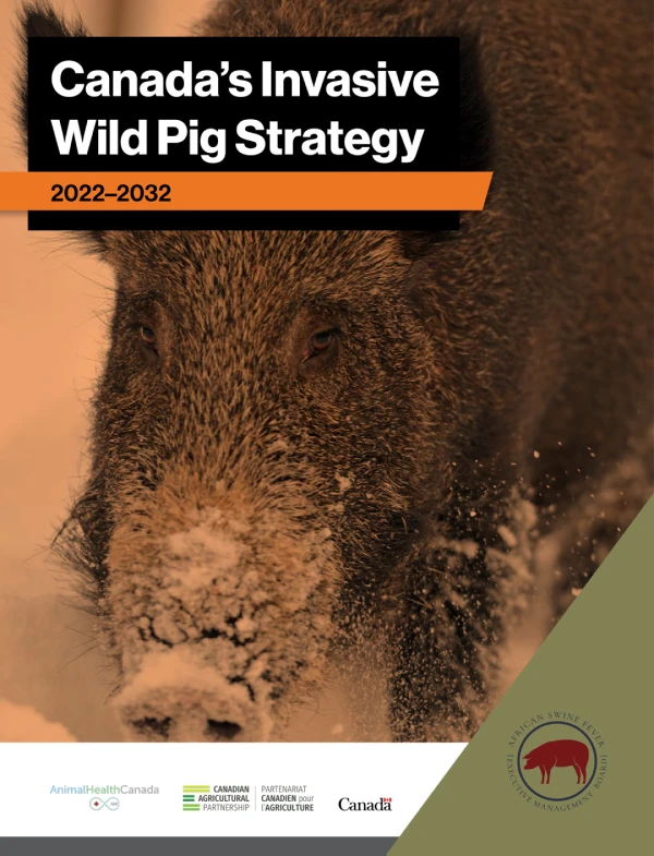 Canada's Invasive Wild Pig Strategy 2022–2032 front cover
